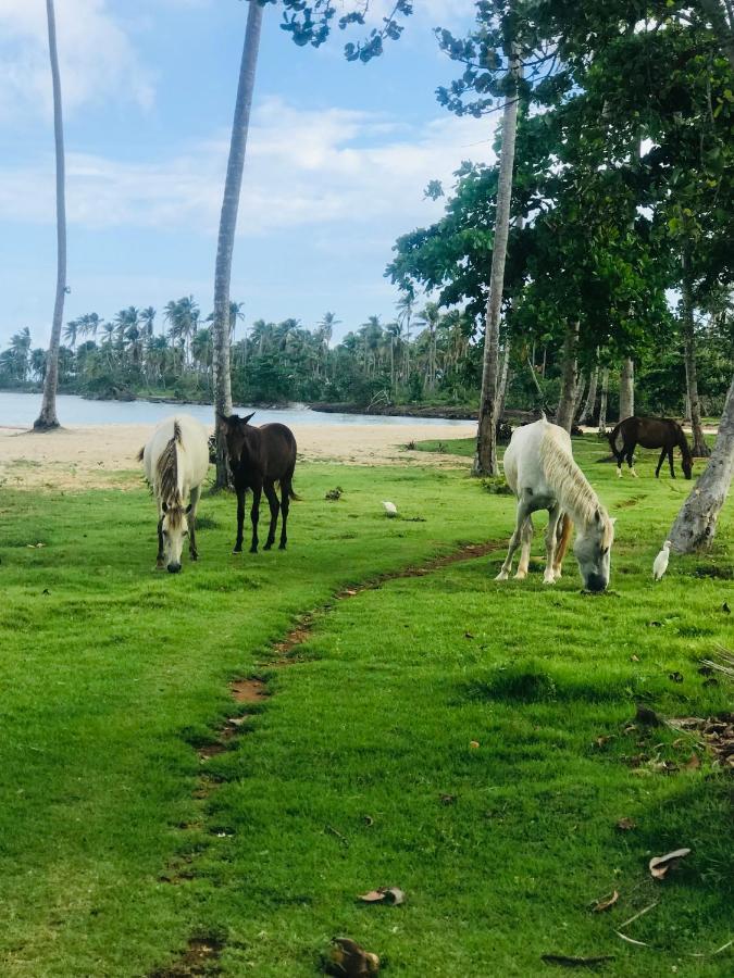 Oasis En La Naturaleza Rancho Alto Bonito Лас Галерас Екстериор снимка